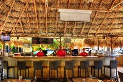 Buddy Dive Resort - Bonaire. Blennies restaurant. 